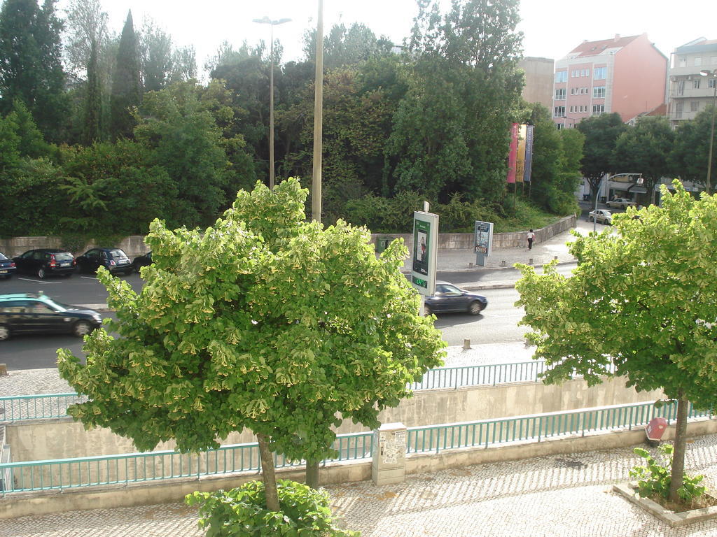 ליסבון Center Garden Luxury Apartment חדר תמונה